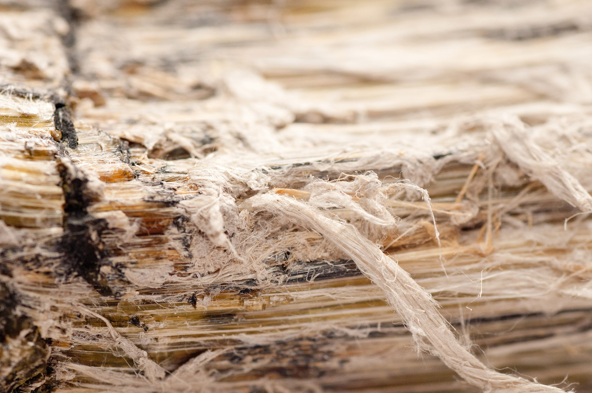 Asbestos Claims Solicitors Cardiff, lung cancer claims, mesothelioma